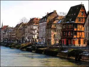 Drzewa, Francja, Kamienice, Strasbourg, Rzeka