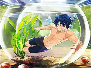 Free! - Iwatobi Swim Club, akwarium, Nanase Haruka, anime
