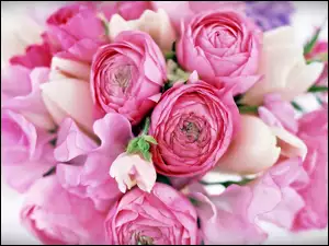 Bukiet, Róże, Kwiatów, Tulipany