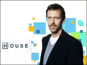 House, Hugh Laurie, Serial, Aktor