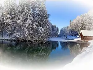 Drzewa, Zima, Jezioro, Śnieg, Domek