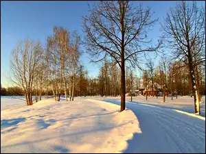 Domek, Zima, Droga, Śnieg, Drzewa