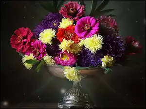 Astry, Bukiet, Kwiatów