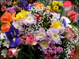 Kwiaty, Kolorowe, Bukiet, Kwitnące