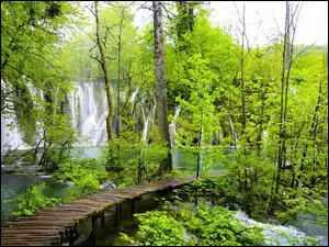 Chorwacja, Wodospad, Pomost, Las, Plitvice