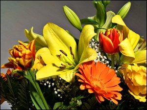 Gerbery, Bukiet, Lilie, Kwiatów, Tulipany