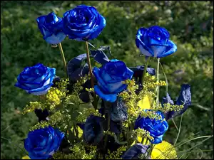 Kwiaty, Bukiet, Róże, Niebieskie, Żółte