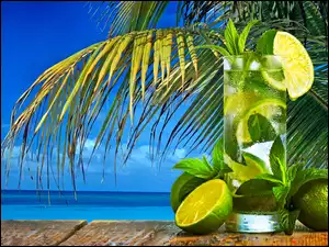 Drink Mojito, Tropiki, Palma, Ocean