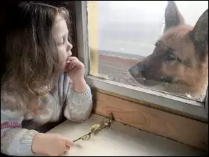 Pies, Dziewczynka, Okno