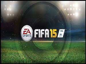 Logo, Fifa 2015