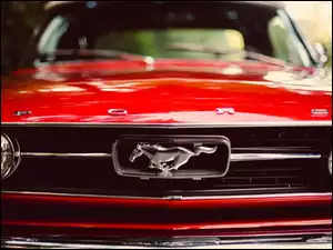 Czerwony, Rozmycie, Ford, Mustang