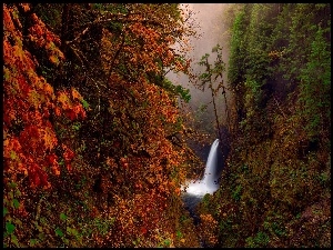 Jesień, Wodospad, Las, Mgła