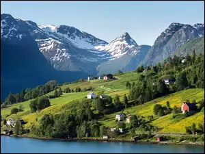 Domy, Norwegia. Góry, Drzewa