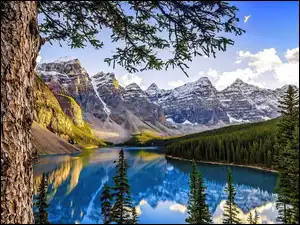 Kanada, Góry, Las, Jezioro, Alberta