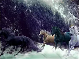 Konie, Drzewa, Śnieg, Góry