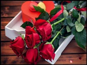Kwiaty, Czerwone, Róże