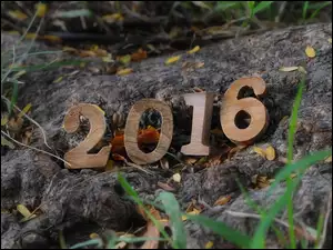 Rok, Skała, 2016, Klocki