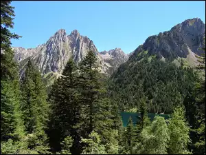 Góry, Las, Pireneje, Mauricio
