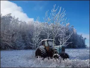 Traktor, Zima, Drzewa, Oszronione, Stary