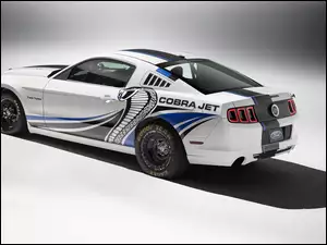 Twin-Turbo Concept, Ford Mustang, Cobra Jet
