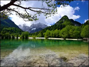 Słowenia, Góry, Jezioro, Las, Jasna Góra
