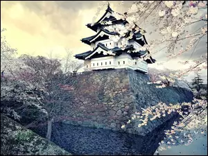 Japonia, Drzewa, Dom, Kwitnące