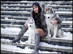 Kobieta, Siberian Husky, Dwa, Pieski