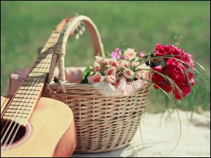 Kosz, Gitara, Bukiety, Kwiatów