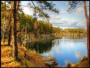 Jesień, Las, Piękne, Jezioro