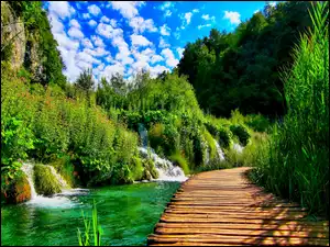 Las, Pomost, Park Narodowy Jezior Plitwickich, Chorwacja, Rzeka