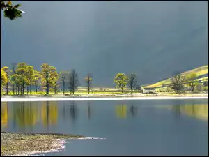 Szopa, Jezioro, Drzewa