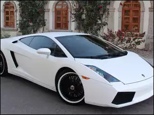 Dom, Białe, Lamborghini Gallardo