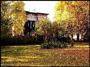 Budynek, Jesień, Drzewa