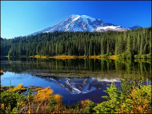 Mount Rainier, Góry, Jezioro, Las, Park Narodowy