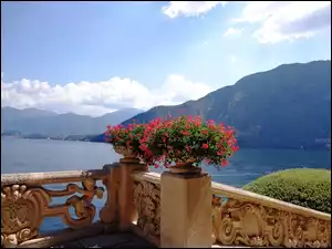 Como, Kwiaty, Góry, Włochy, Jezioro, Taras