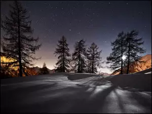 Drzewa, Gwiazdy, Zima, Księżyc, Góry, Niebo