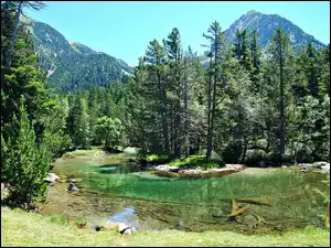 Jezioro, Narodowy, Góry, Aiguestortes, Las, Park