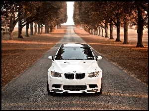 BMW, Drzewa, Biały, Jesień, Samochód, Droga