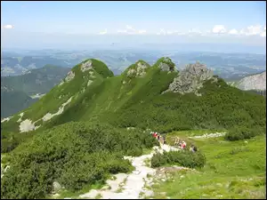 Tatry, Góry, Kosodrzewina, Zieleń, Ostańce