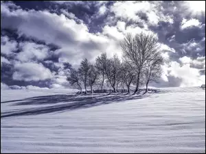 Zima, Śnieg, Drzewa, Chmury