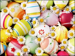 Wielkanoc, Kwiaty, Jajka, Stokrotki