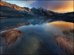Góry, Nowa Zelandia, Jezioro, Trawa