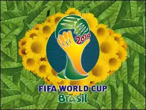 Świata, Brasil, Brazylia, 2014, Mistrzostwa