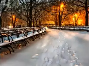 Park, Oświetlenie, Alejka, Śnieg