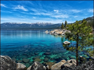 Jezioro, Kamienie, Nevada, Sosna, Góry, Tahoe