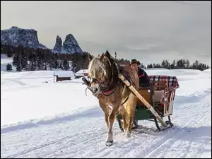 Zima, Koń, Sanie