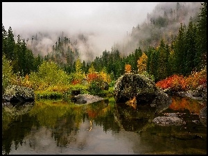Kamienie, Jesień, Las, Jezioro, Mgła