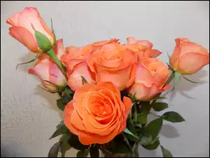 Bukiet, Róże, Pomarańczowe