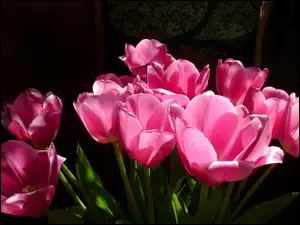 Tulipany, Bukiet, Różowe