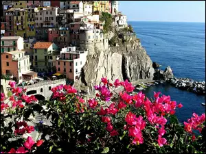 Liguria, Morze, Riomaggiore, Miasto, Bugenwilla